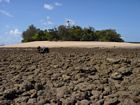 Northward-looking view of the Low Isles sand cay at low spring tide. Image was taken from the northwestern reef flat.